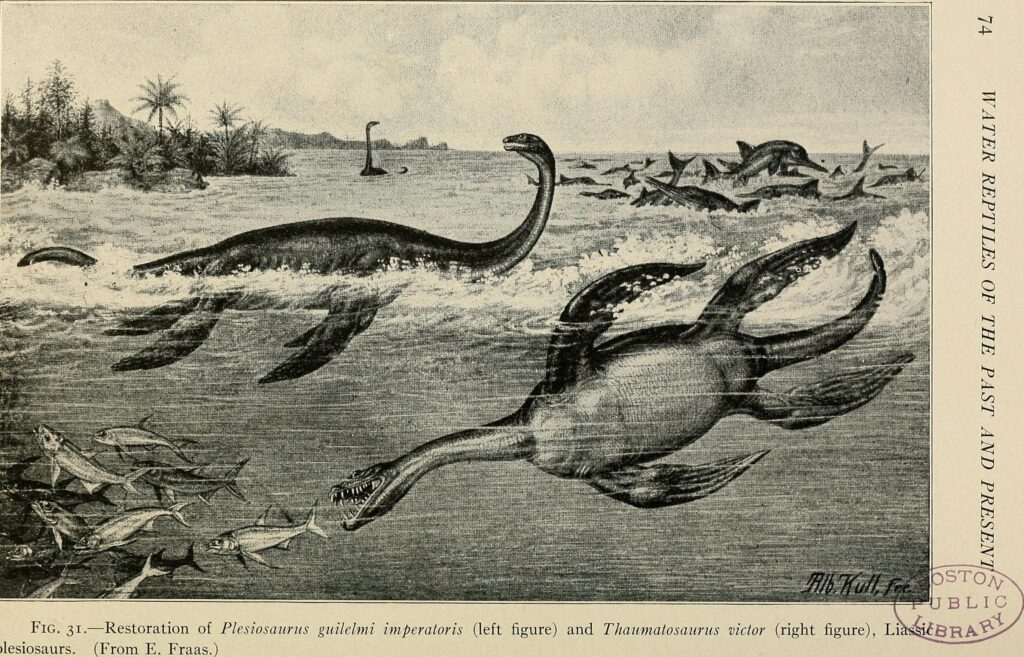 Prehistoric Paris: Why the Muséum d'Histoire Naturelle Is a Fossil Treasure
