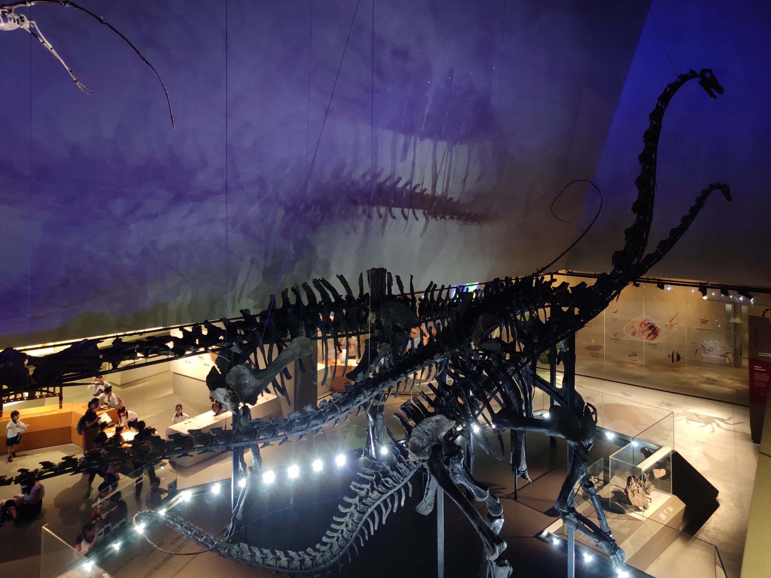 Massive Sauropod Graveyards and Their Ecosystem Impact (image credits: wikimedia)