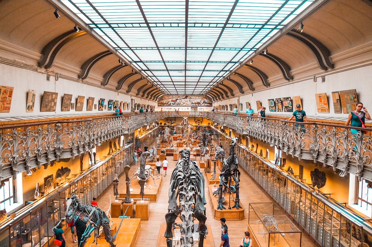 Educational Gold Mine for Museums and Schools (image credits: pixabay)