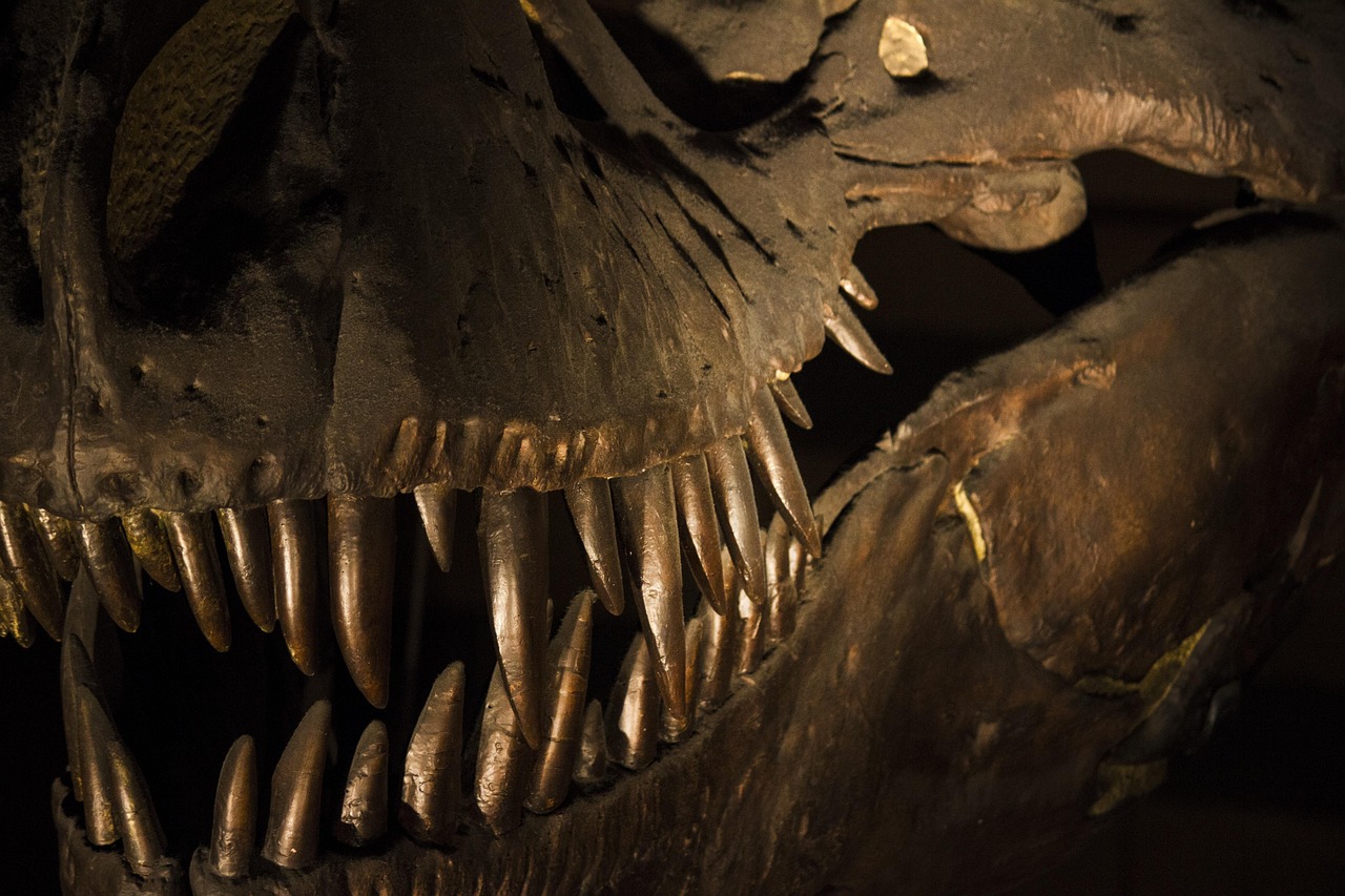 The Ultimate Success Story of Ancient Life (image credits: pixabay)