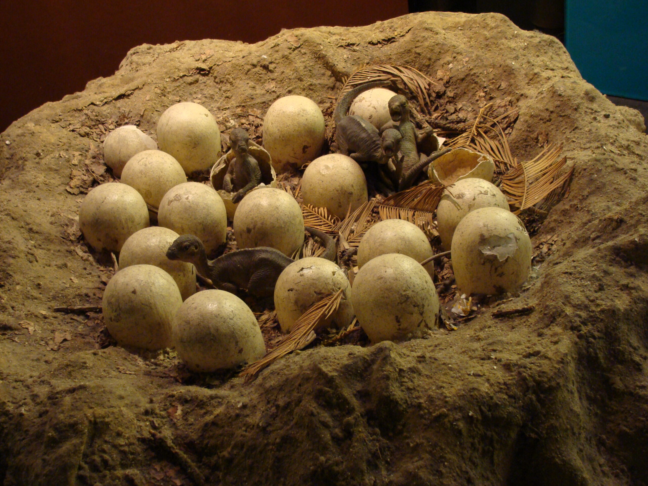 Maiasaura Nest with Caring Parent (image credits: wikimedia)