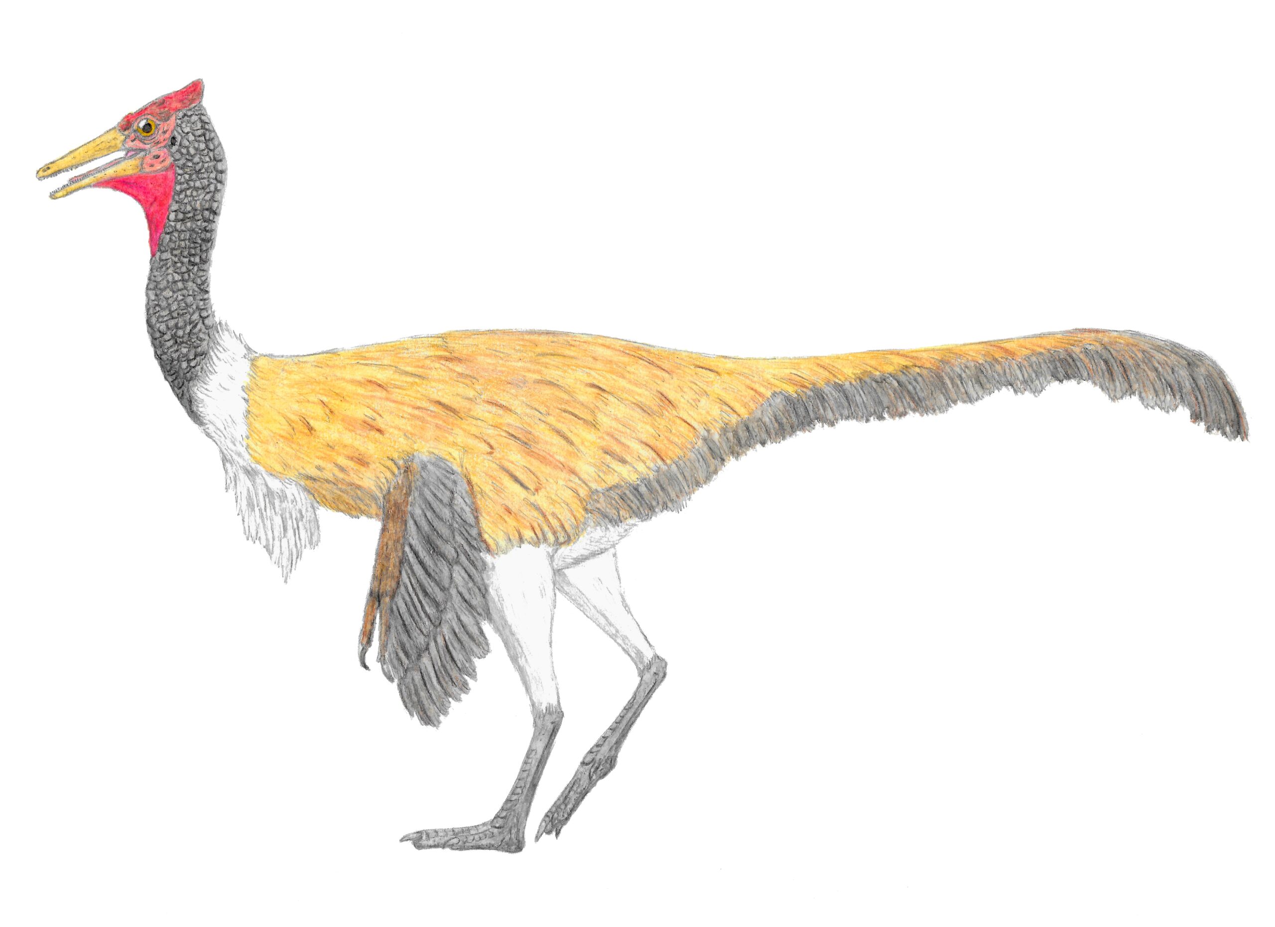 Spain's Cretaceous Ecosystem: A Predator's Paradise (image credits: wikimedia)