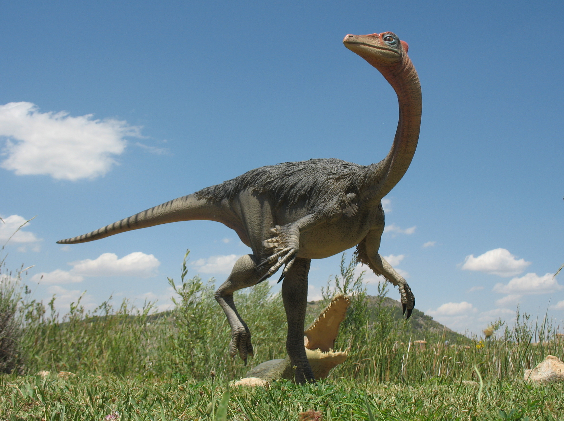 Evolutionary Oddball: Breaking the Ornithomimid Mold (image credits: wikimedia)