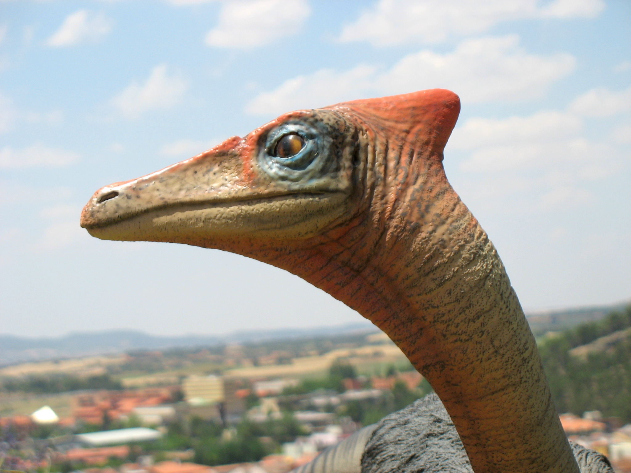 The Dental Arsenal: Engineering Marvel of Nature (image credits: wikimedia)