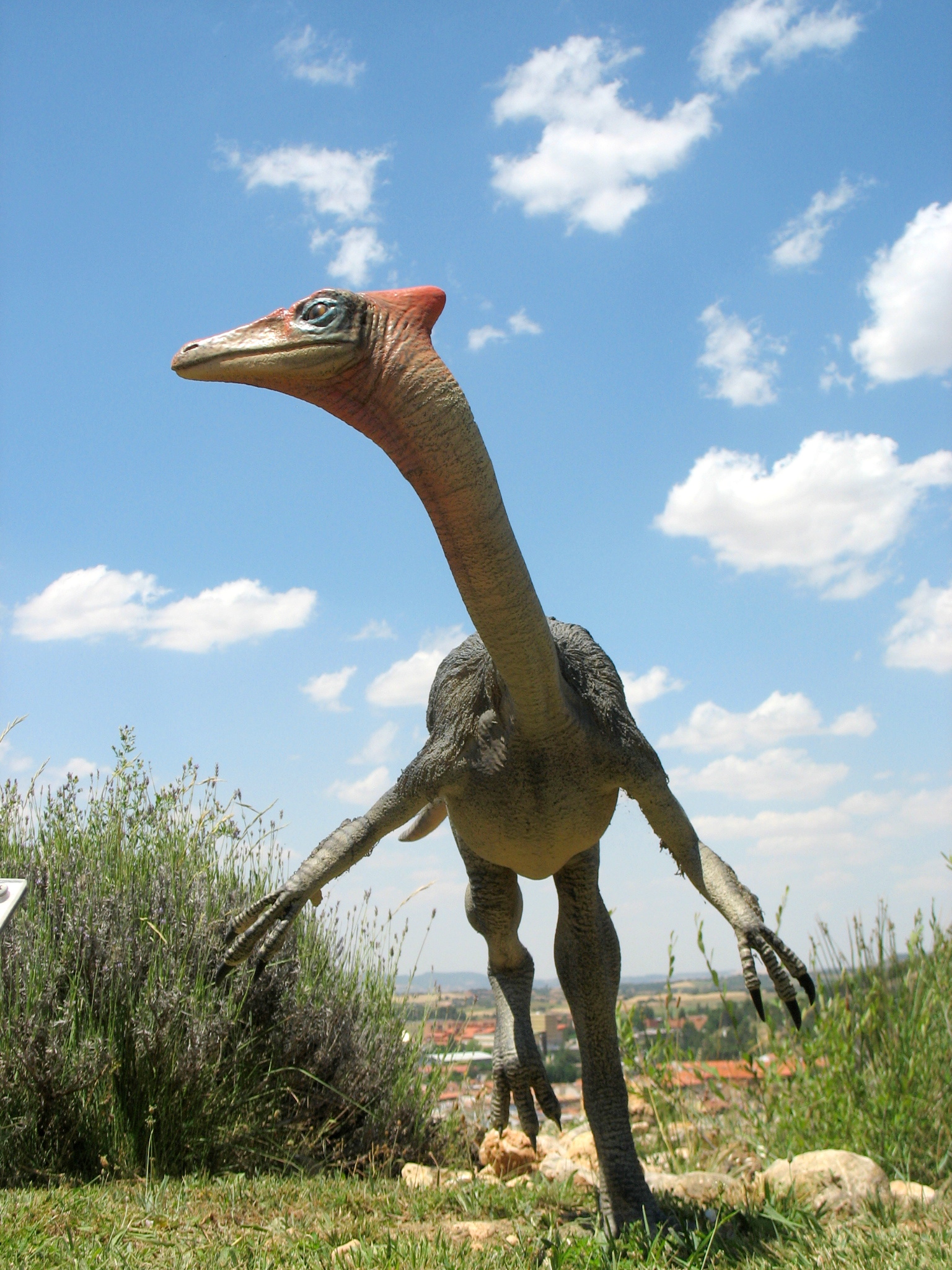 Comparing Giants: How Pelecanimimus Stacks Up (image credits: wikimedia)
