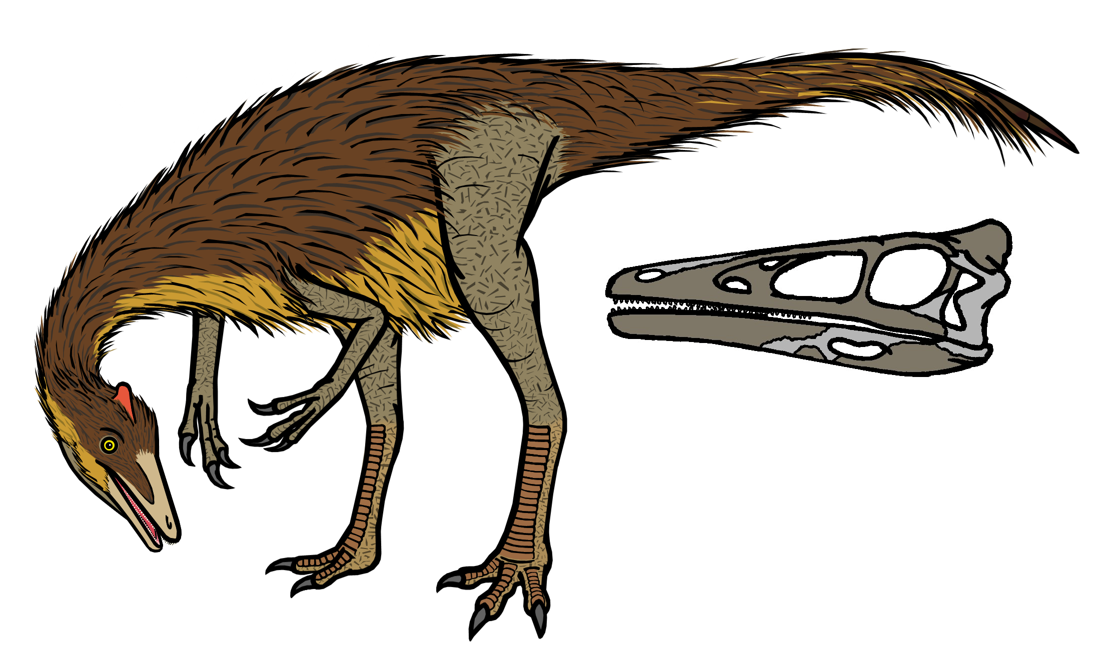 Daily Life of a Cretaceous Fisherman (image credits: wikimedia)