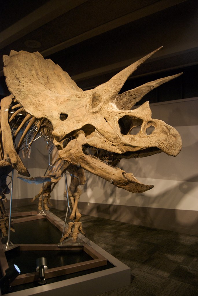 Bone Histology Unlocks Ancient Growth Secrets (image credits: flickr)