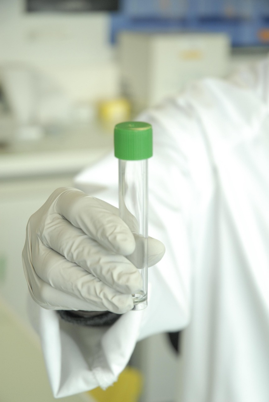 Molecular Approaches to Ancient DNA Questions (image credits: pixabay)