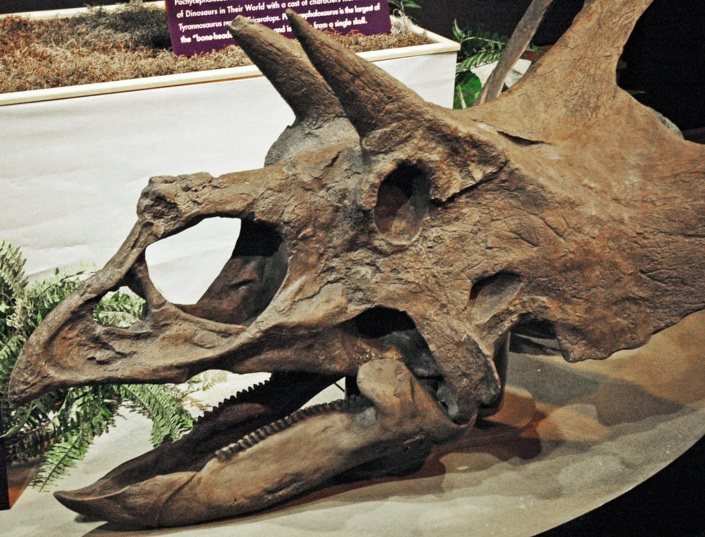 The Naming Controversy and Scientific Politics (image credits: flickr)
