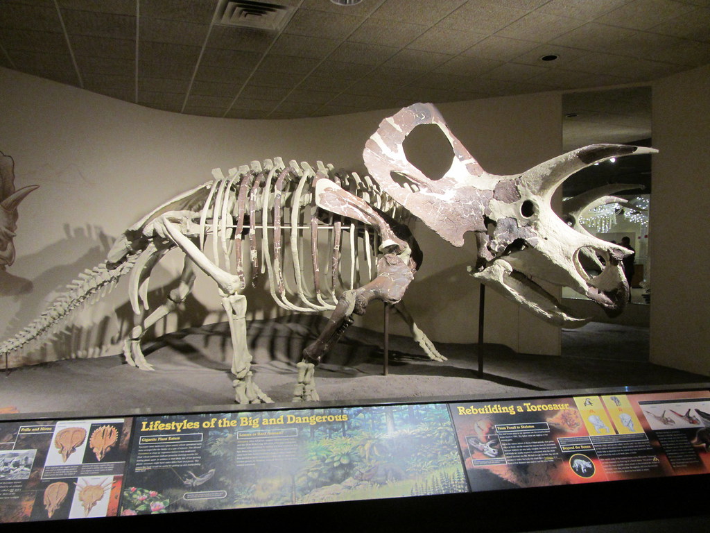Future Research Directions and Emerging Technologies (image credits: flickr)