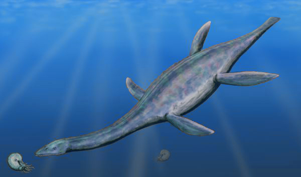 The Underwater Realms (image credits: wikimedia)