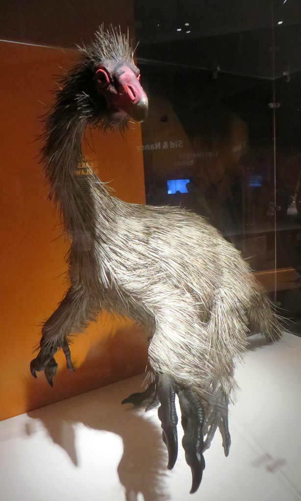 The Discovery That Shook Paleontology (image credits: flickr)