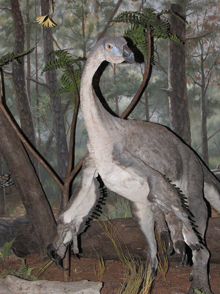 Size Matters: A Giant Among Feathered Friends (image credits: flickr)