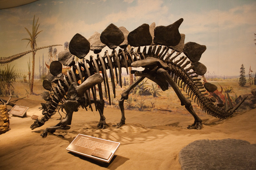 Canada's Own Prehistoric Celebrities (image credits: flickr)