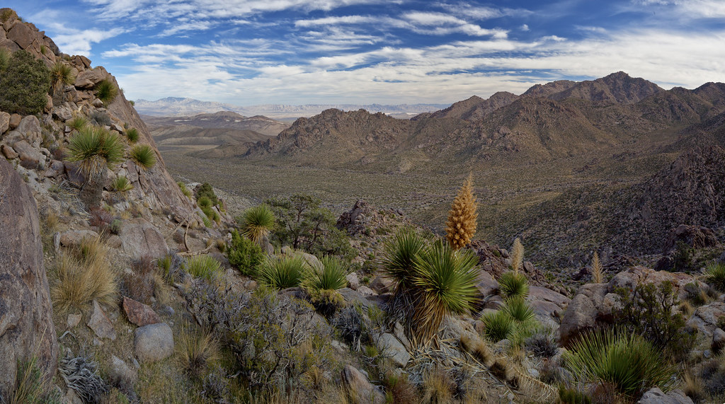 Ancient Ecosystems Brought to Life (image credits: flickr)