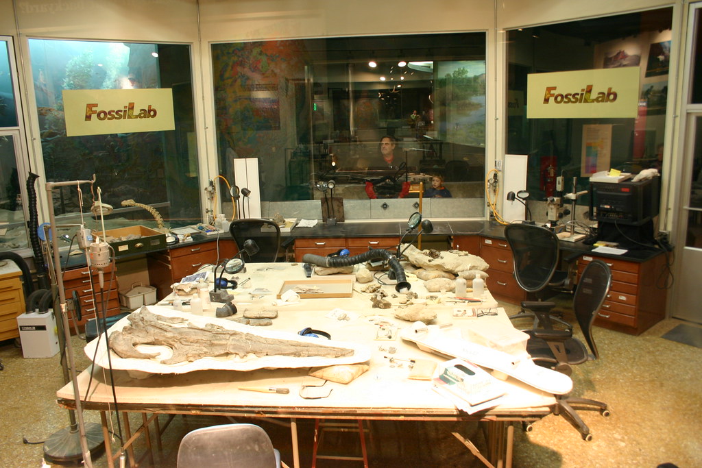 A Living Laboratory for Discovery (image credits: flickr)