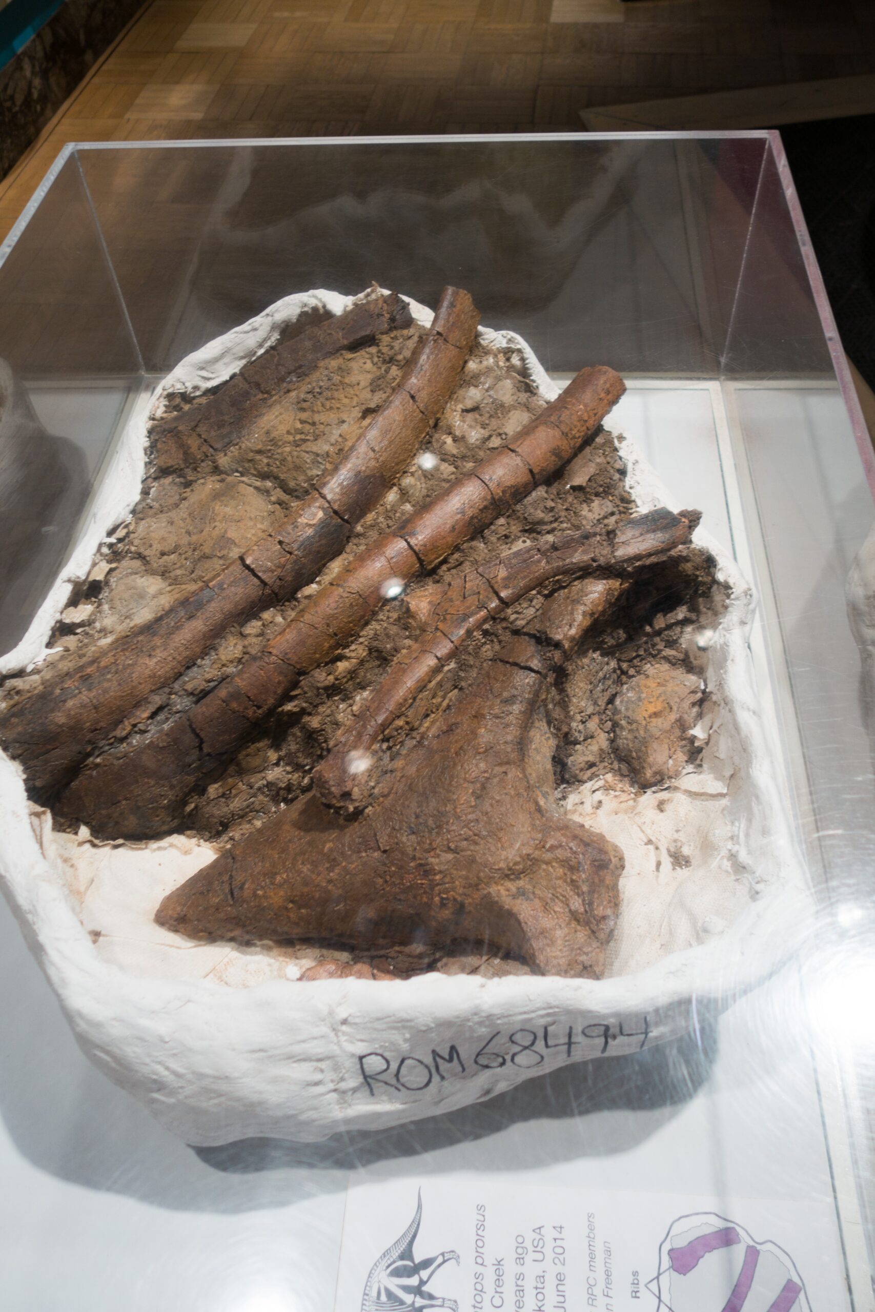 The Global Impact of Canadian Discoveries (image credits: wikimedia)