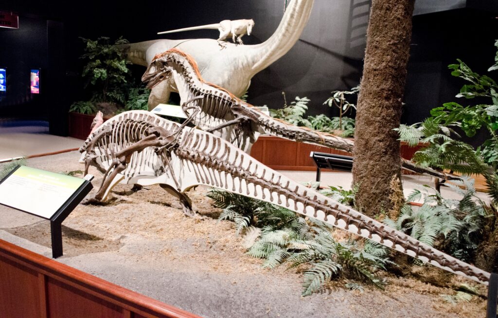 Why This Canadian Museum Is a Treasure Trove of Prehistoric Creatures