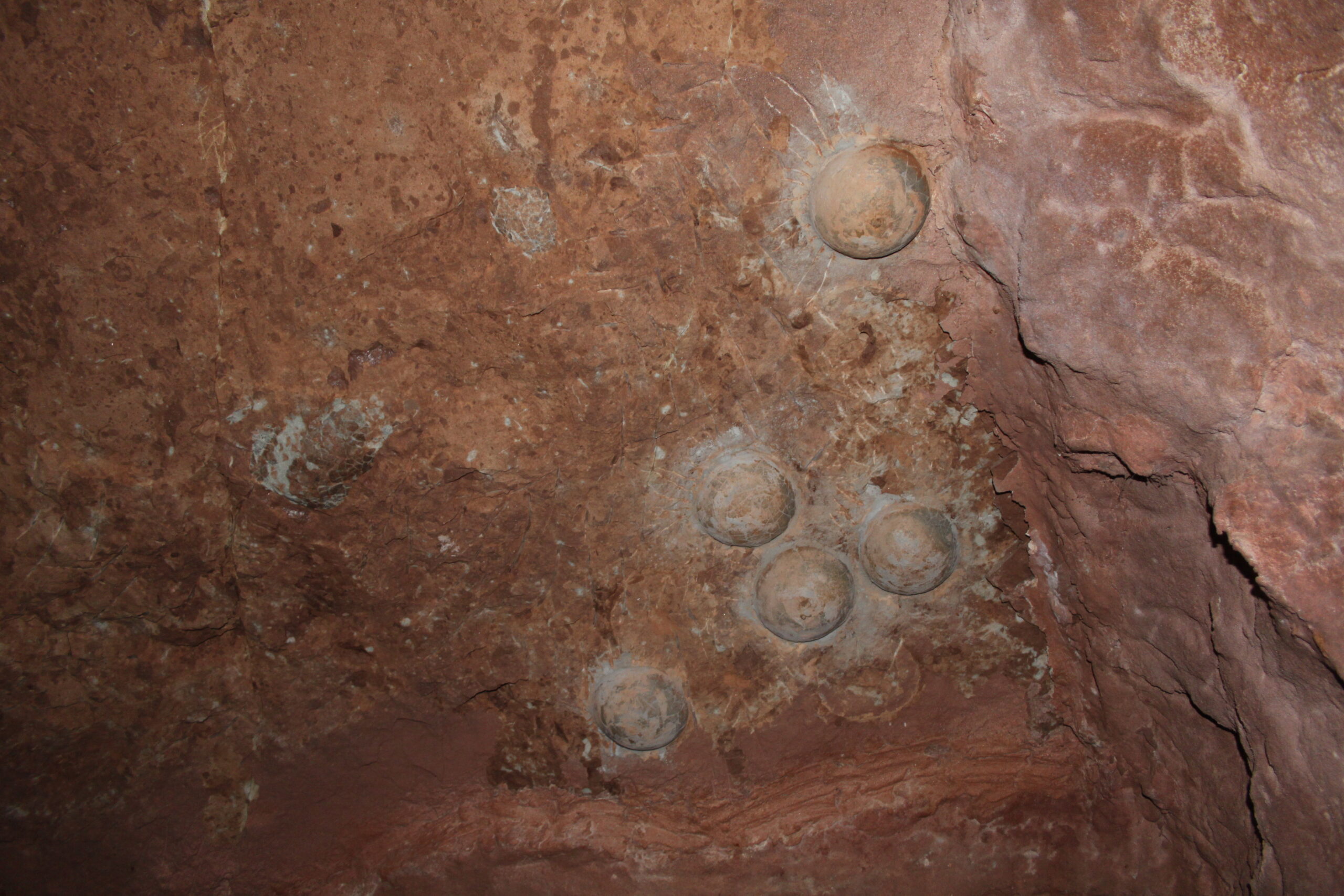 Early Discoveries That Shook the Scientific World (image credits: wikimedia)