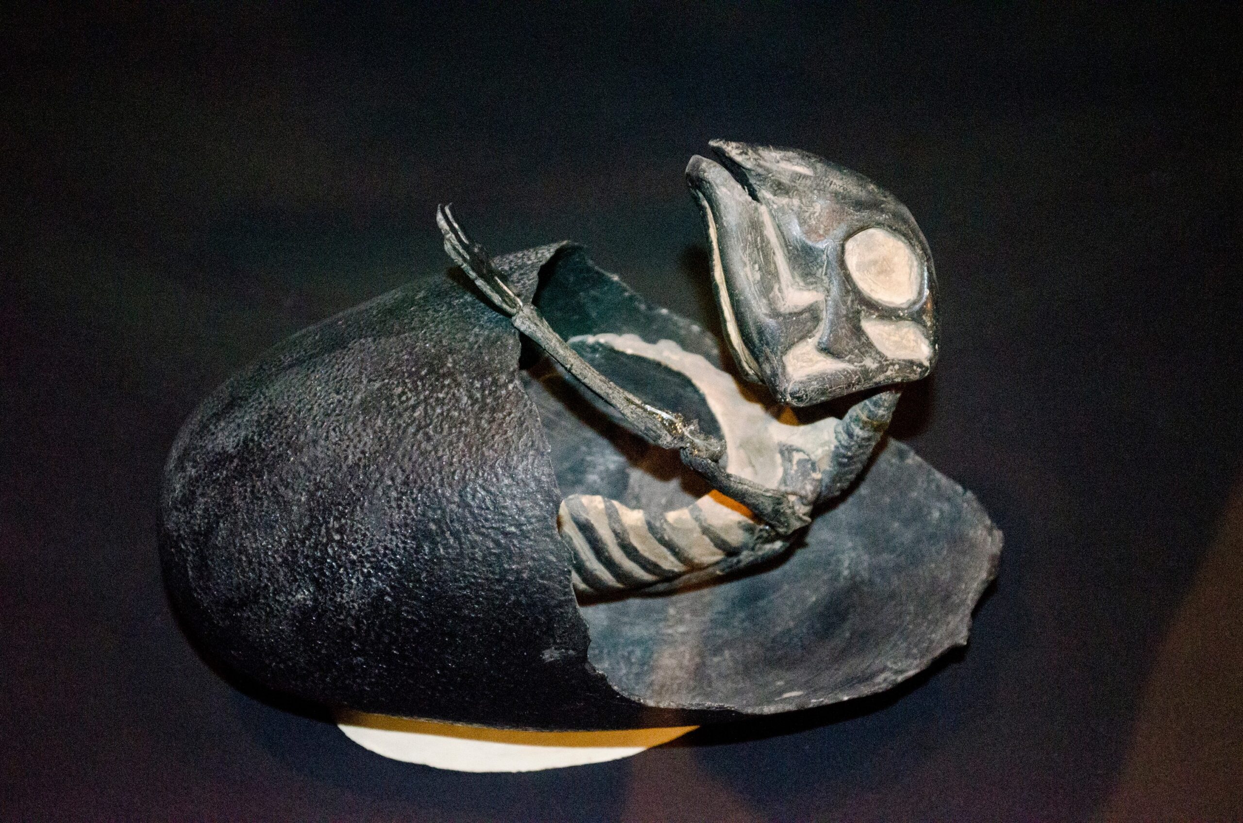 The Maiasaura Discovery That Changed Parenting Forever (image credits: wikimedia)