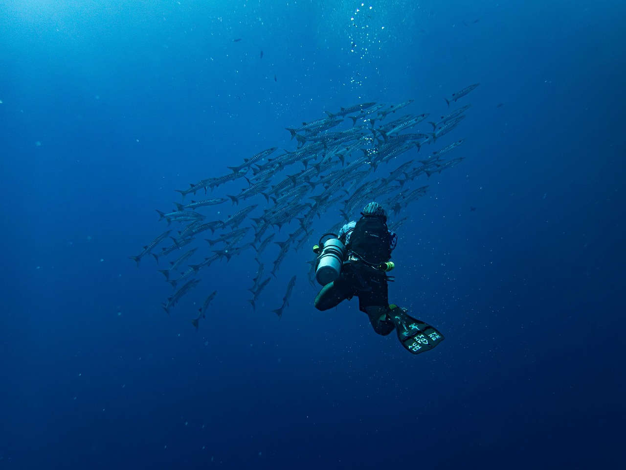 Future Research and Unanswered Questions (image credits: pixabay)