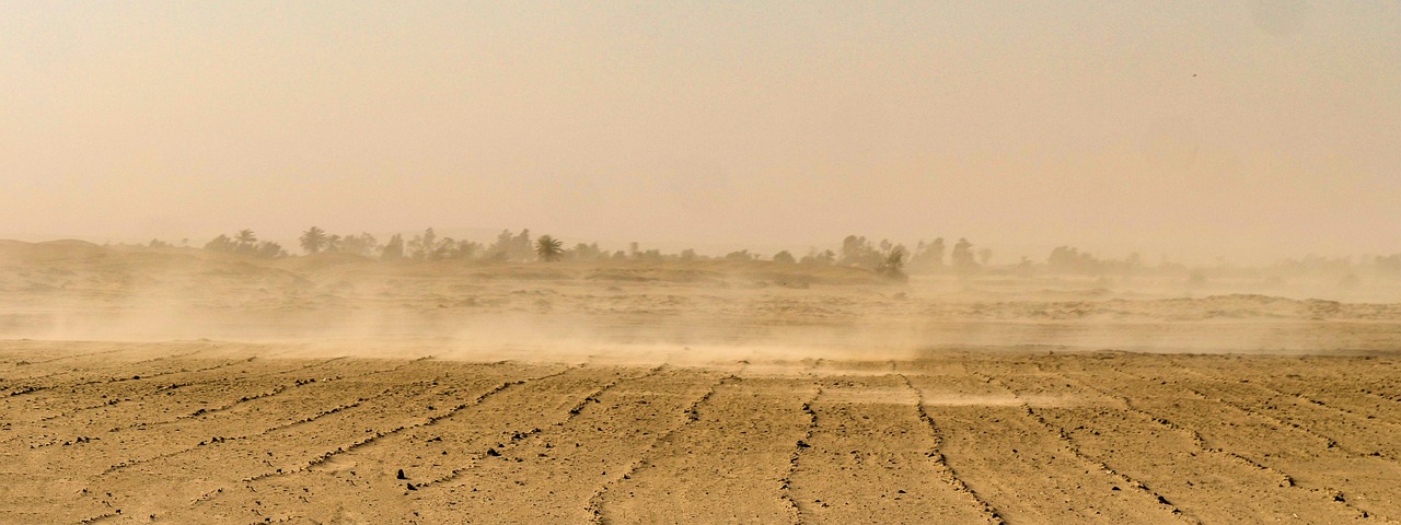 Desert Sandstorms: Rapid Burial in Dry Lands (image credits: pixabay)