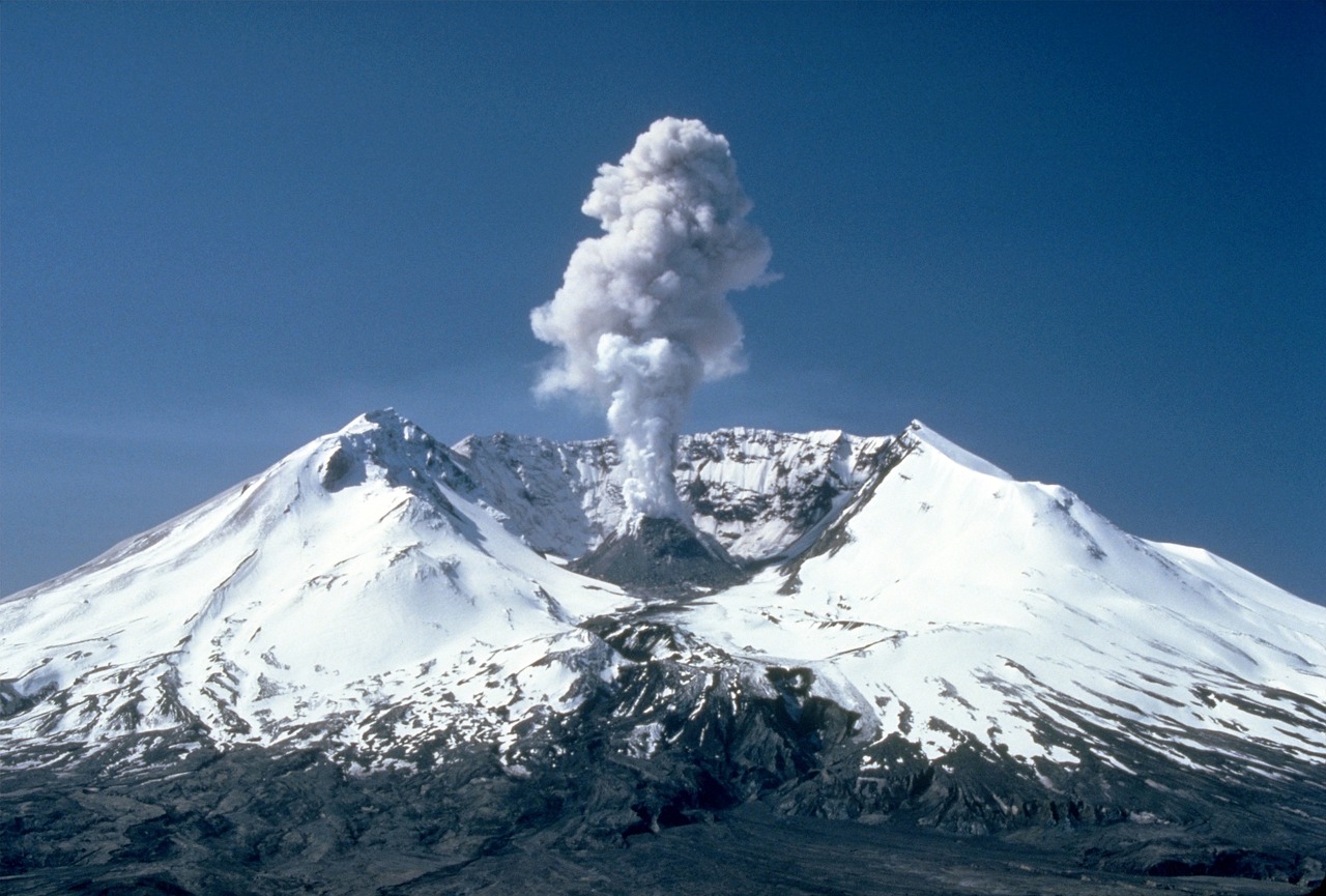 Modern Examples: Witnessing Fossilization in Action (image credits: pixabay)