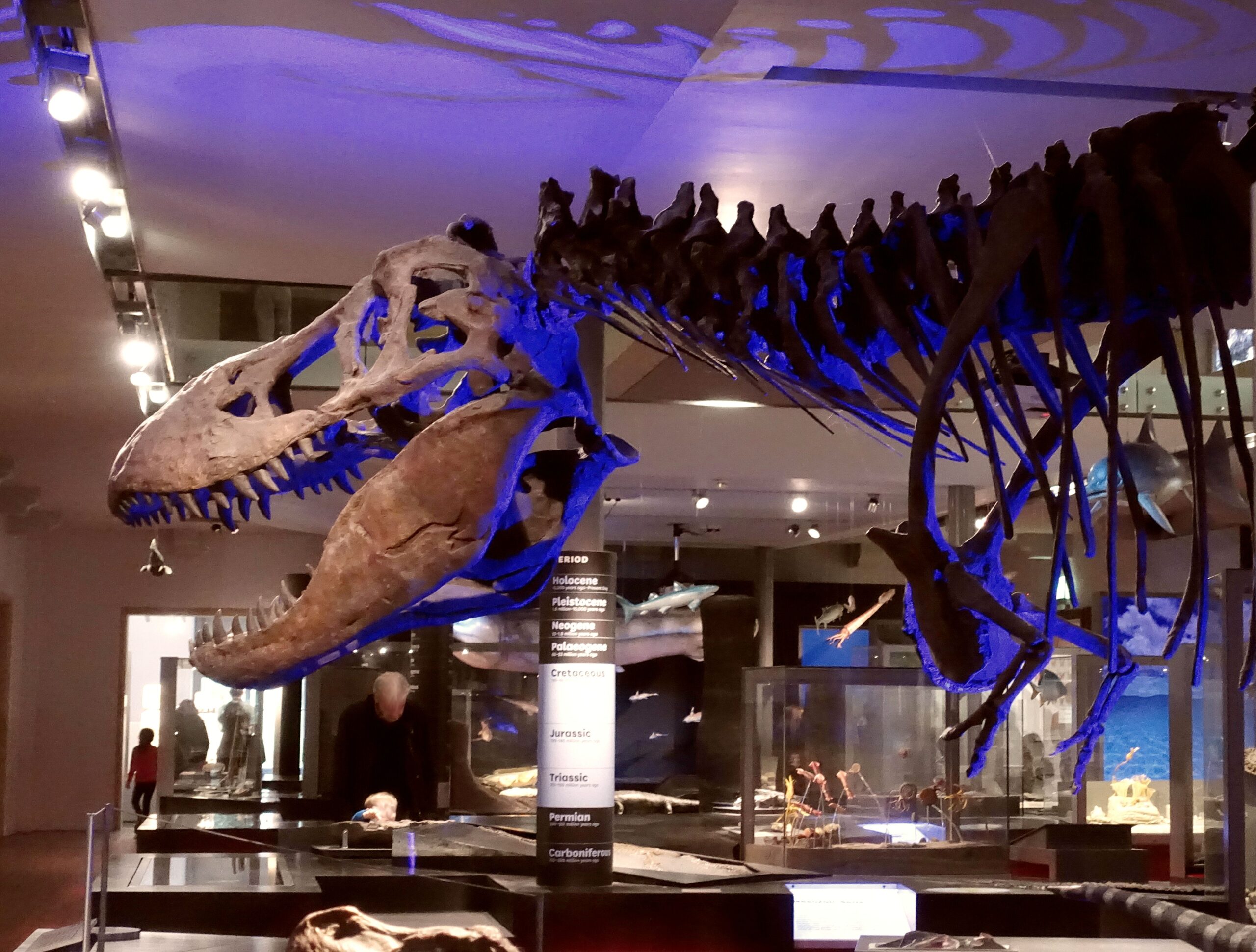 Dinosaur 13 (2014) - The Real Story Behind Sue the T-Rex (image credits: wikimedia)