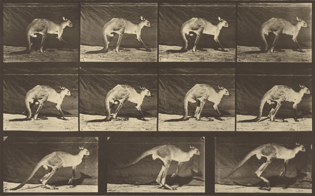 The Secret of Dinosaur Discoveries (image credits: rawpixel)