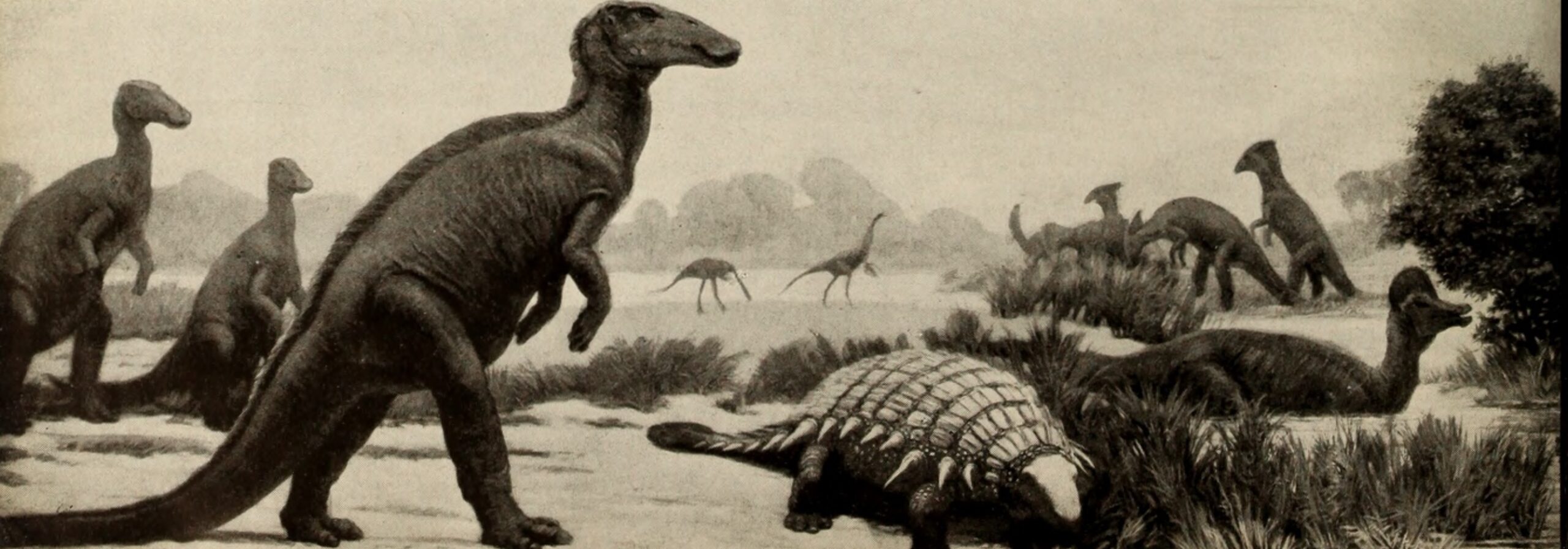The Science Behind the Stories (image credits: wikimedia)