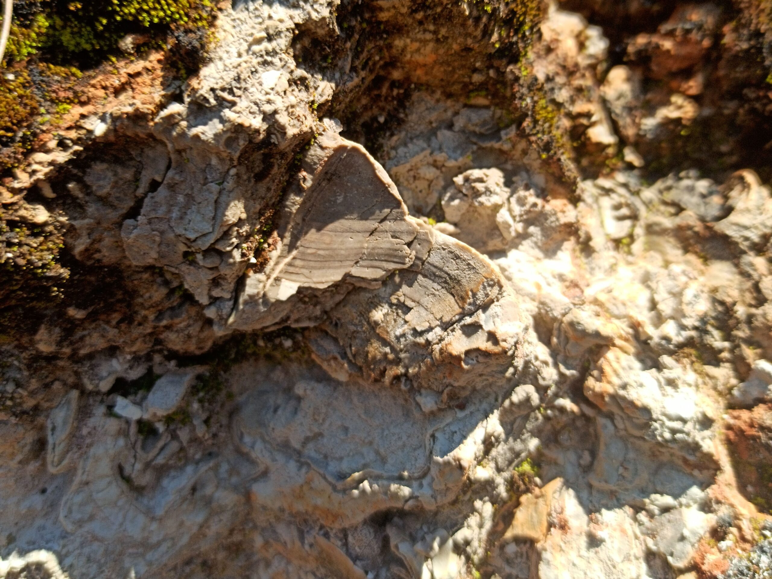 The Influence of Geological Context (image credits: wikimedia)