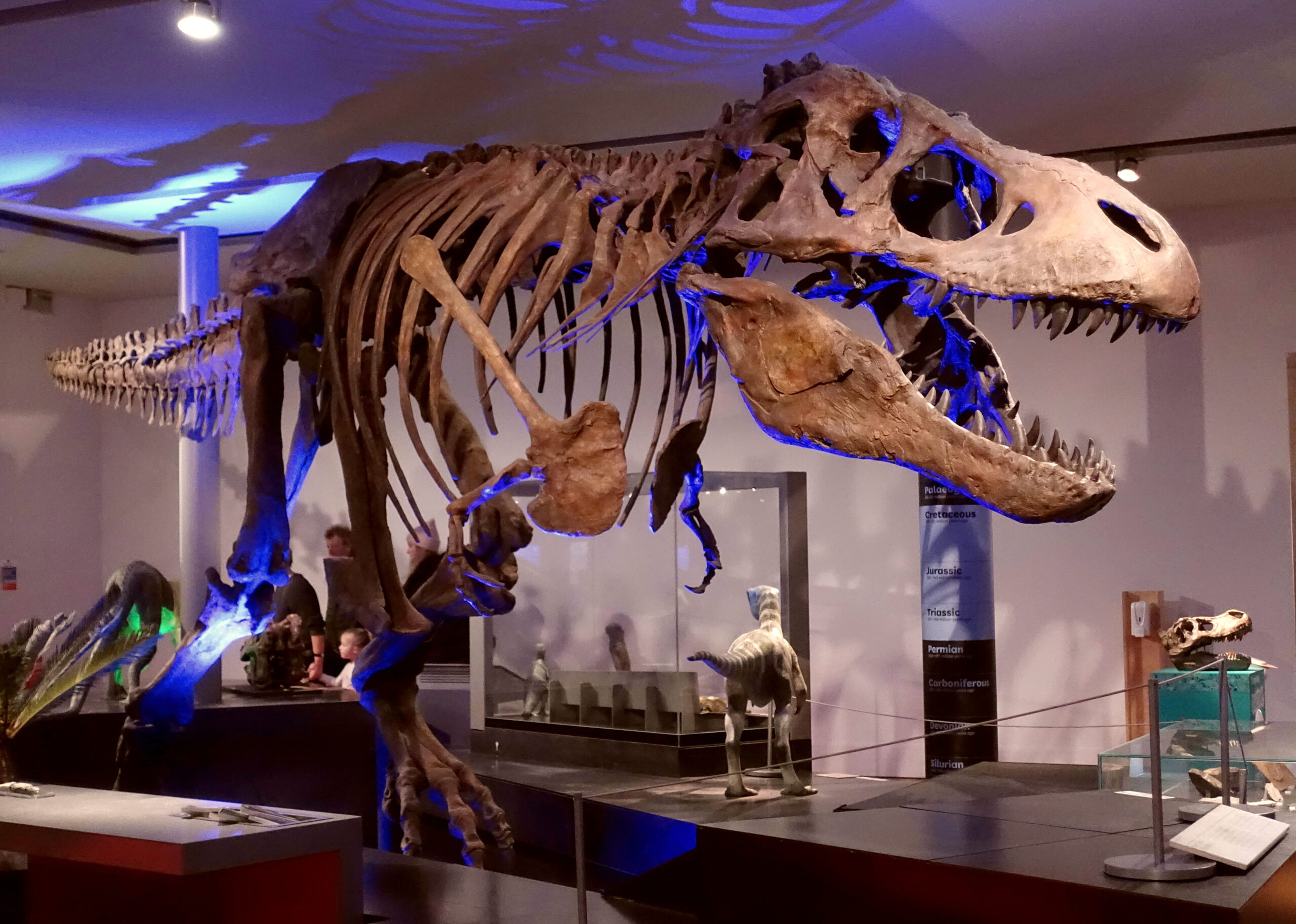 Tyrannosaurus Rex: The Ultimate Predator Experience (image credits: wikimedia)