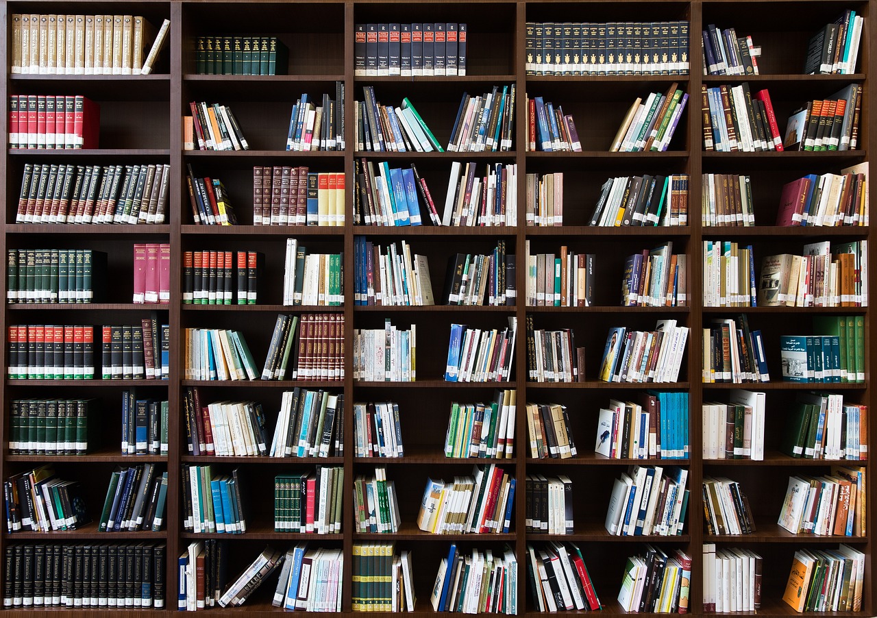 The Academic Caricature Problem (image credits: pixabay)