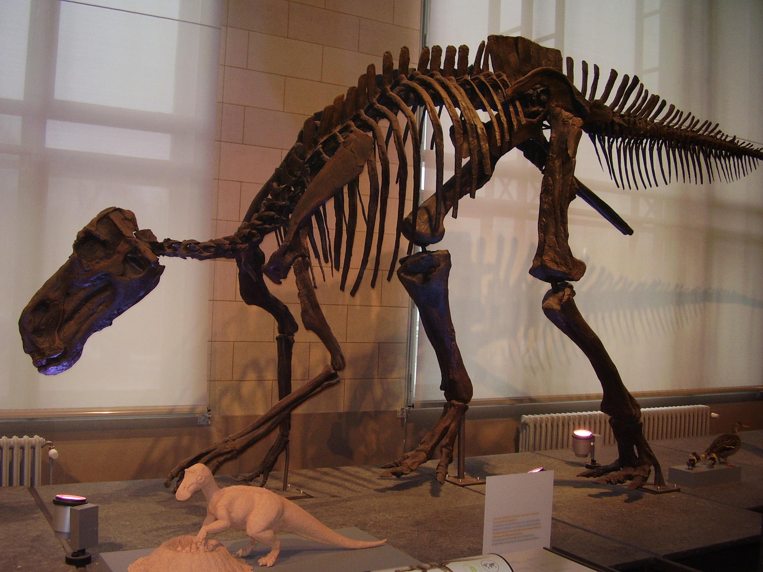 The Social Dinosaur Discovery (image credits: wikimedia)