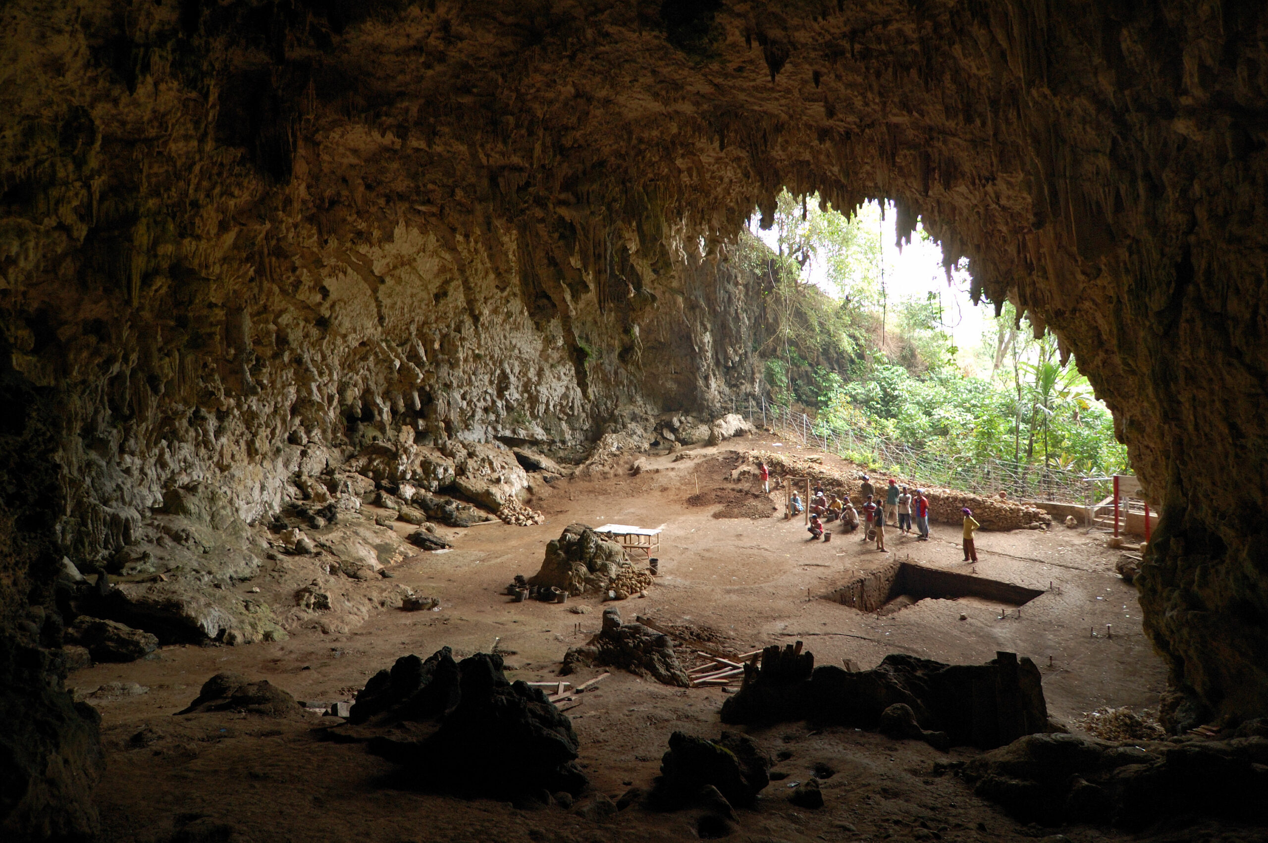 The Unexpected Diversity of Early Human Ancestors (image credits: wikimedia)