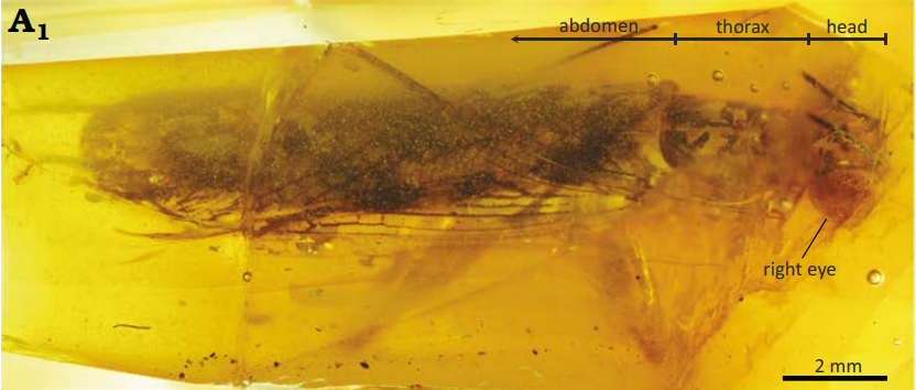 Modern Technology Reveals Ancient Secrets (image credits: wikimedia)