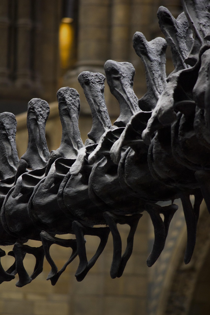 Cold War Competition in Paleontology (image credits: pixabay)