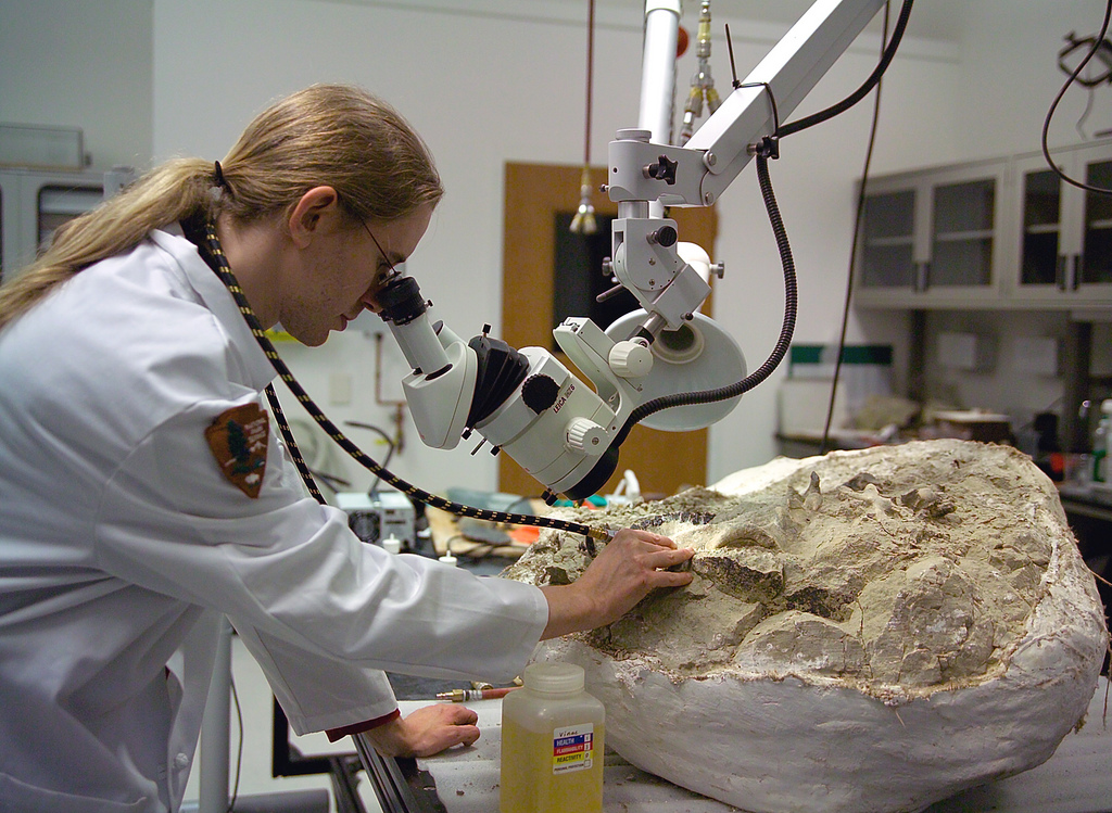 Gender Politics in Paleontological History (image credits: wikimedia)