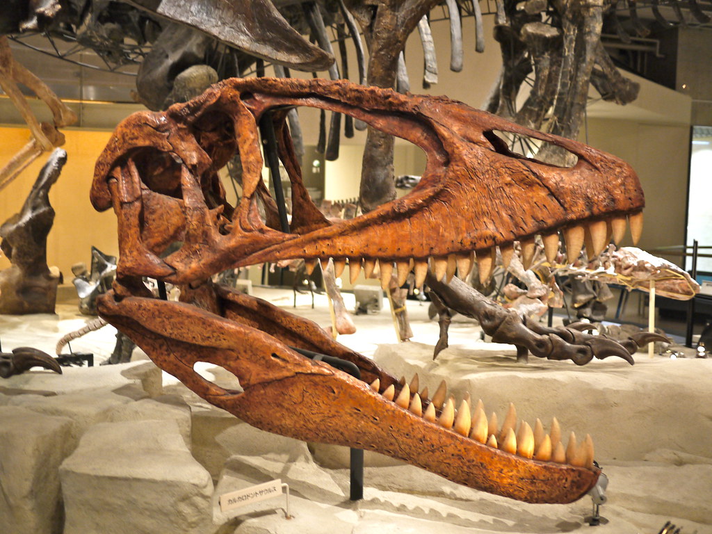 How Politics and Nationalism Have Shaped Fossil Interpretation