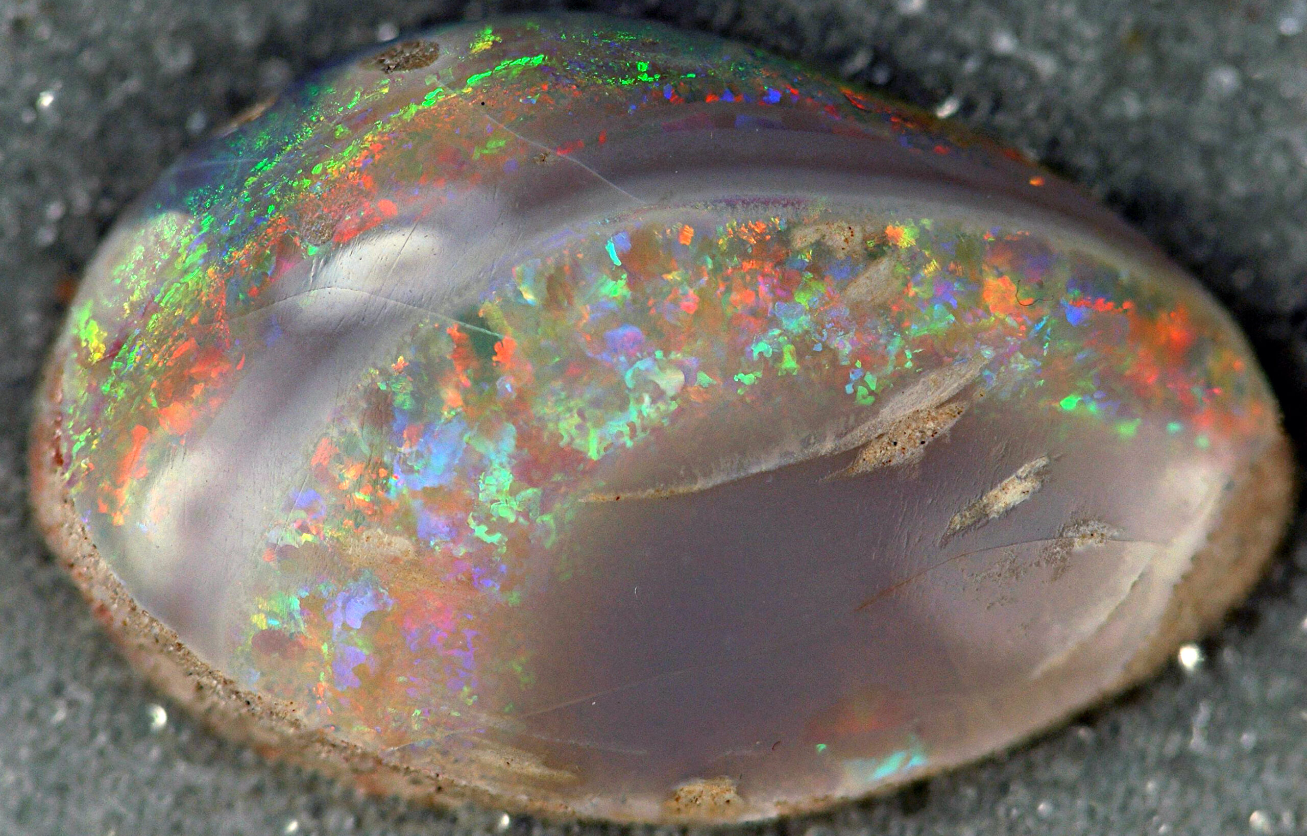 Lightning Ridge: Where Opals Meet Dinosaurs (image credits: wikimedia)