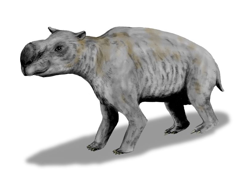 The Megafauna Connection (image credits: By Nobu Tamura, CC BY 3.0, https://commons.wikimedia.org/w/index.php?curid=19459127)