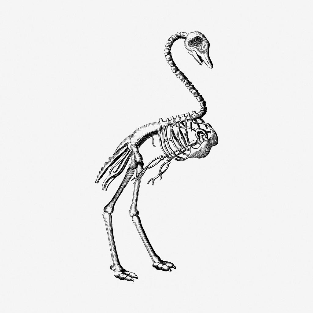 The Mystery of Hollow Bones (image credits: rawpixel)