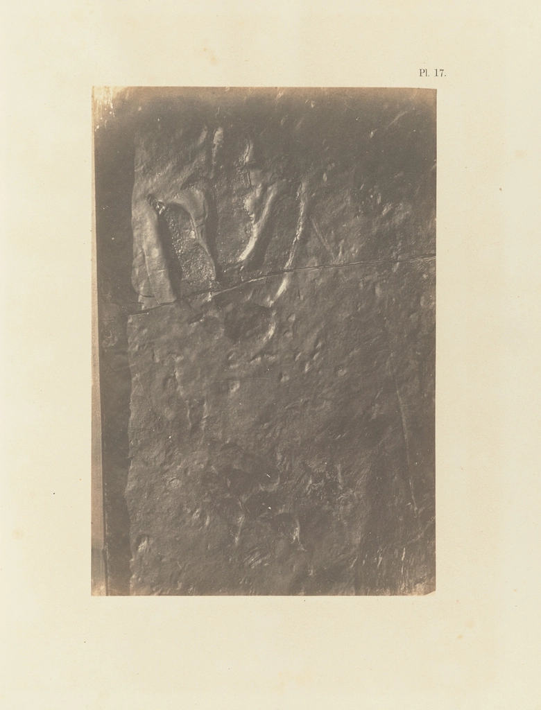 Dinosaur Footprints as Ancient Thermometers (image credits: rawpixel)