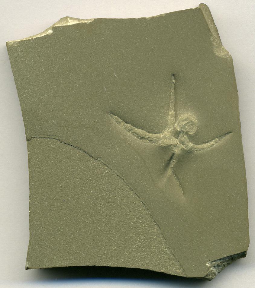 Seasonal Flooding Patterns Preserved in Stone (image credits: wikimedia)