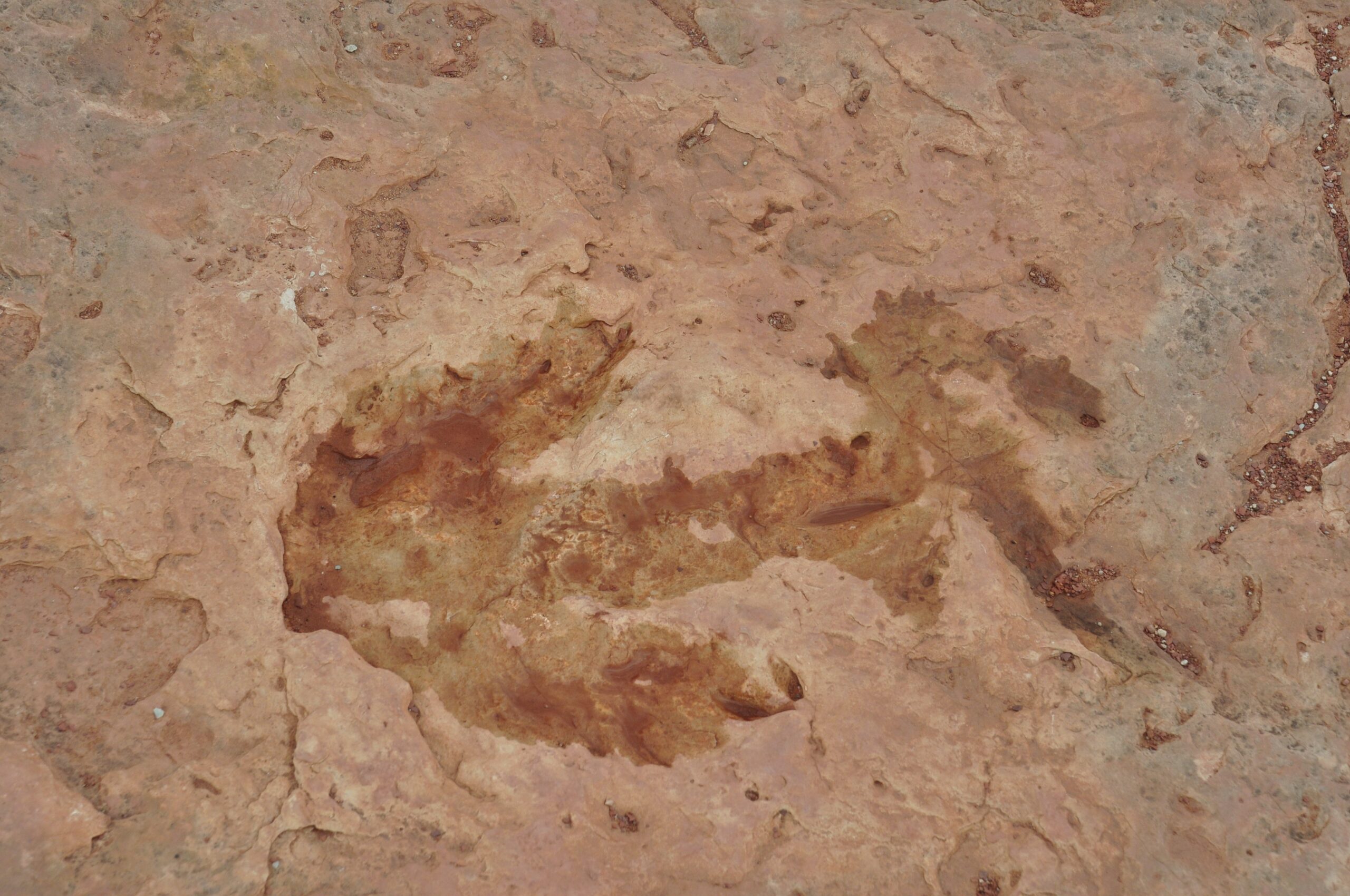 Microclimates Revealed Through Track Distribution (image credits: wikimedia)