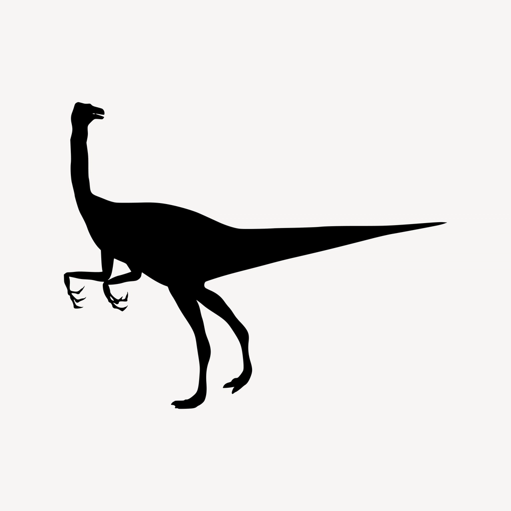 Modern Birds: Living Dinosaurs in Disguise (image credits: rawpixel)