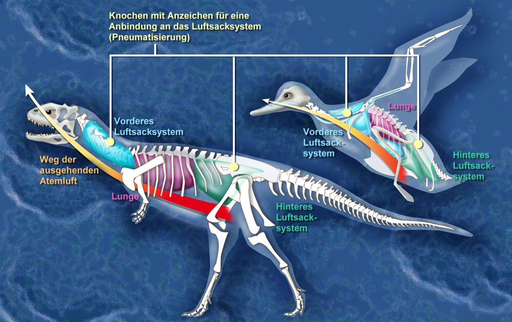 The Great Classification Controversy (image credits: wikimedia)