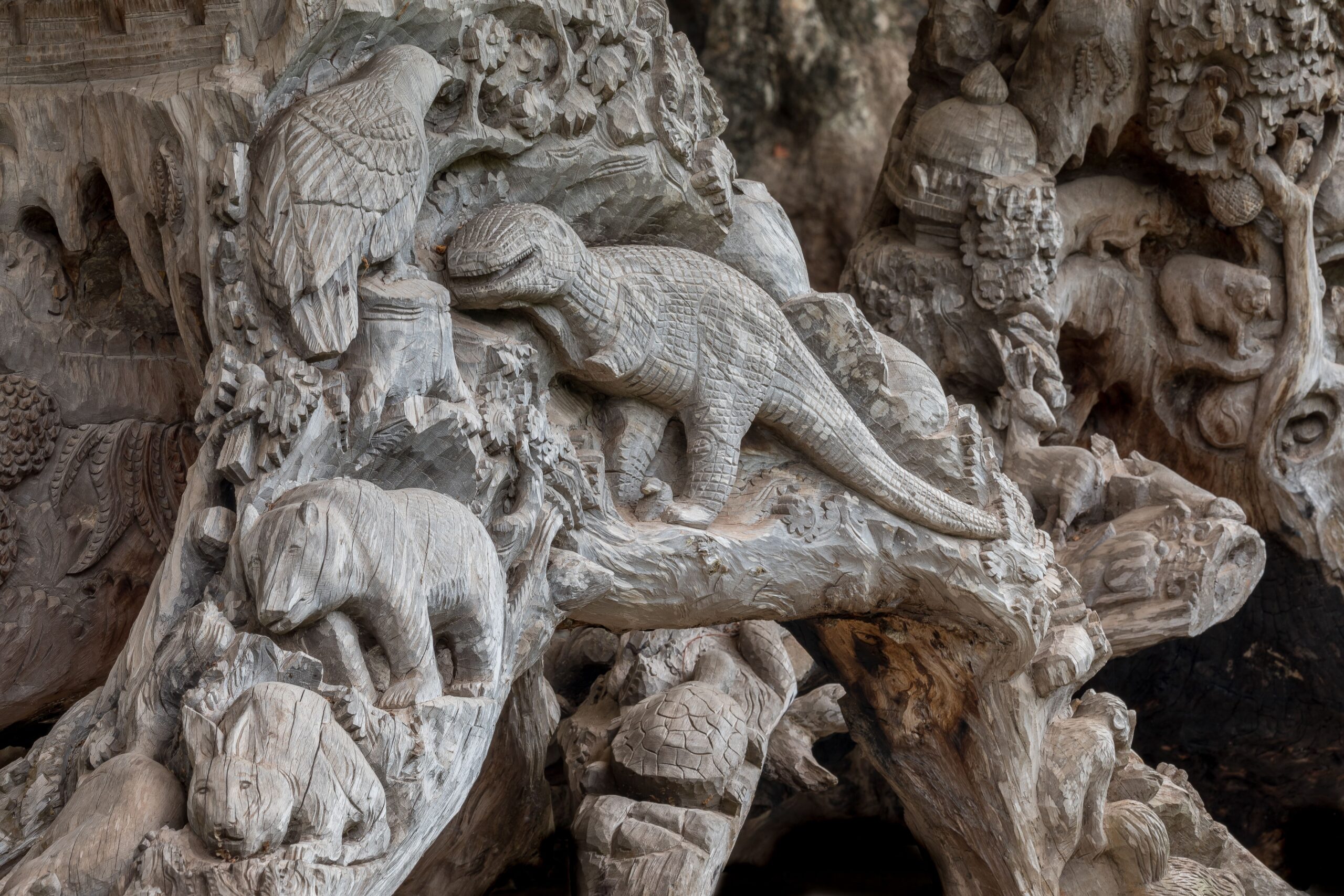 The Intelligence Question That Haunts Paleontology (image credits: wikimedia)