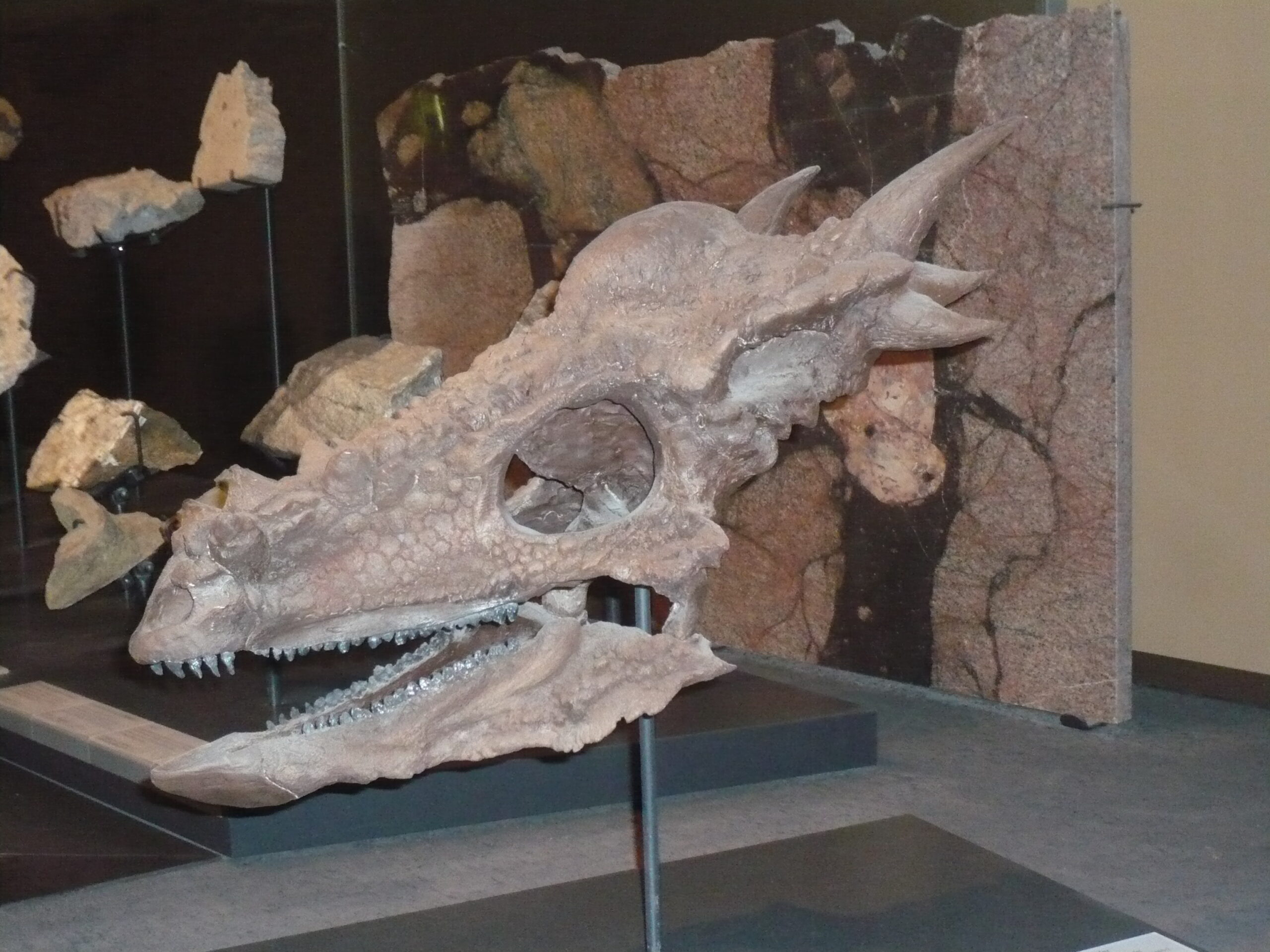 Unanswered Questions That Keep Scientists Guessing (image credits: wikimedia)