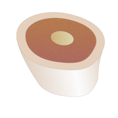 bone marrow